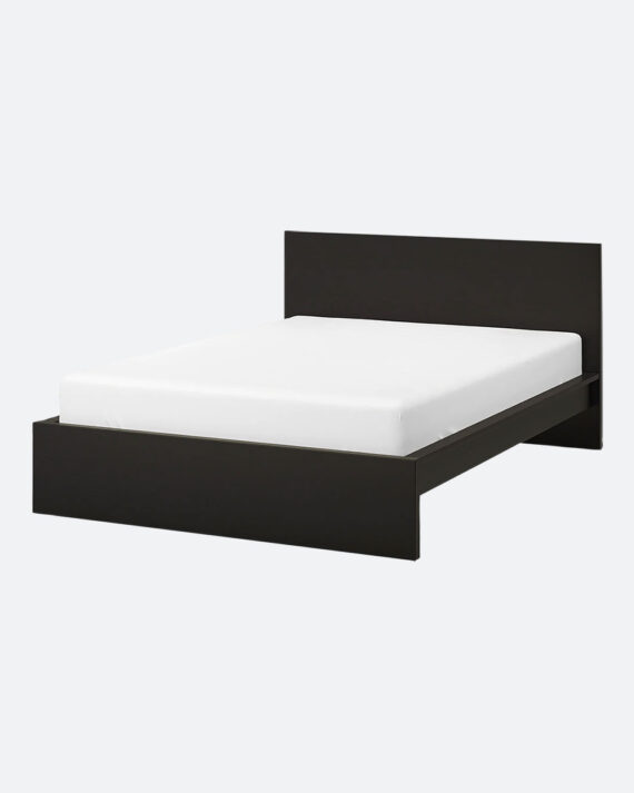 Birch veneer Armchair